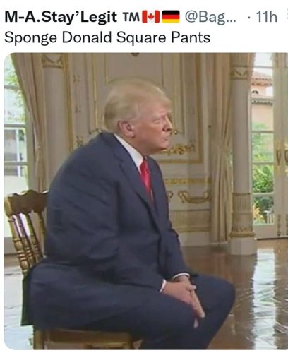 Diaper Don Trending Due To This Bizarre Photograph. Is Trump Losing It Literally?