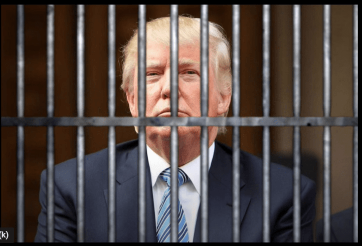 Don The Con cover image