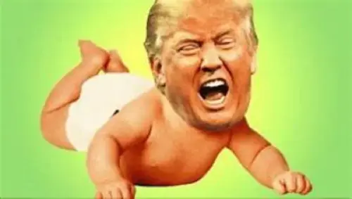 Trump Whines the 6th Amendment Is TOO HARD To Enforce