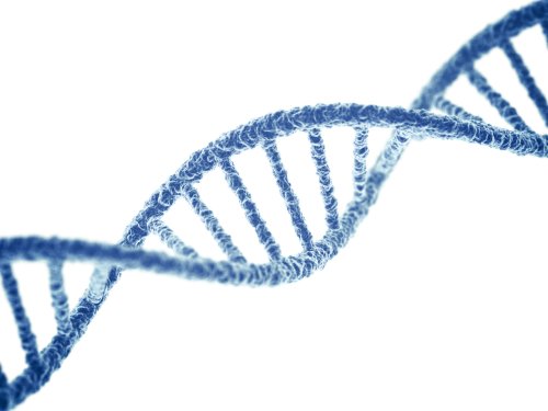 Kanser Zannedildiği Kadar Genetik Olmayabilir - Popular Science