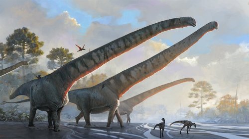 Bu Dinozorların 15 Metrelik Boynu, Doğa Kanunlarına Meydan Okuyordu - Popular Science
