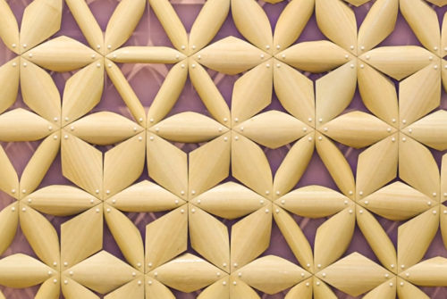 Student Invents Shapeshifting Pinecone-Inspired Building Material