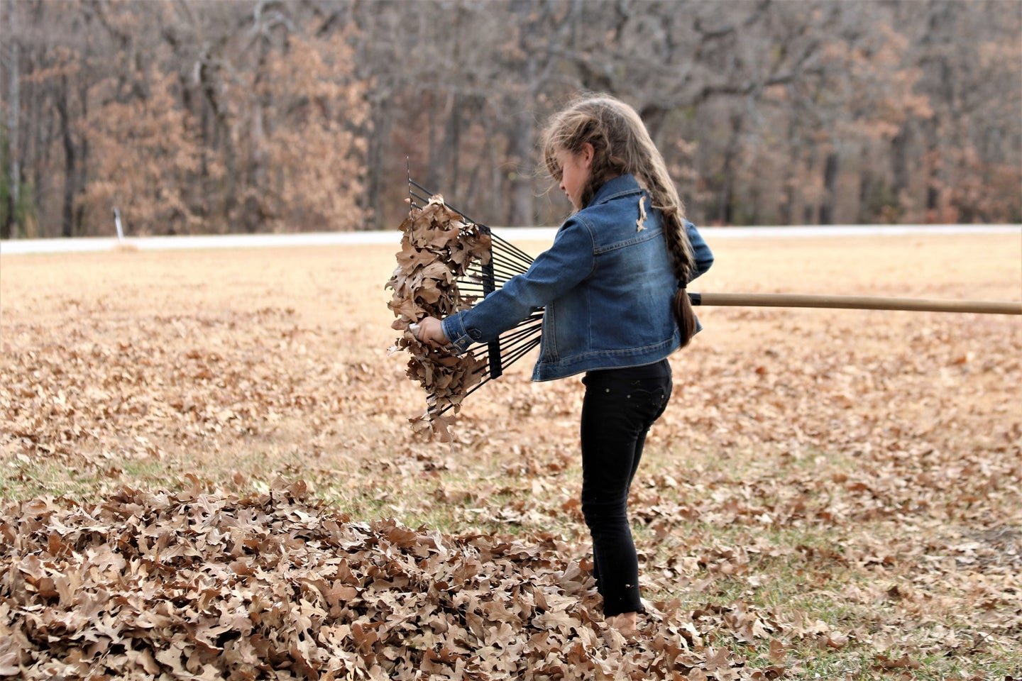 Hate raking leaves? There’s an easier method.