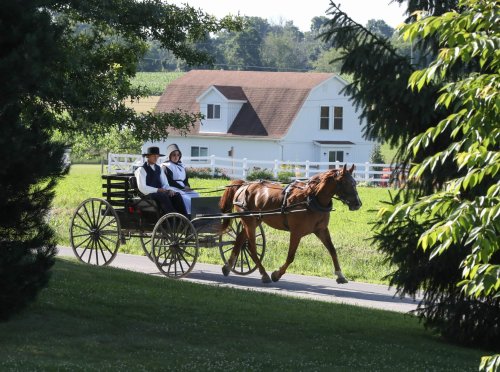 A mysterious cluster of deaths amongst Amish children has finally been solved
