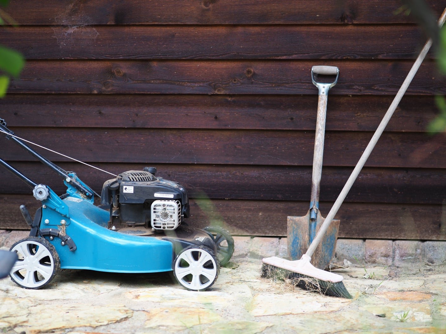 It’s time to rip up your lawn and replace it with something you won’t need to mow
