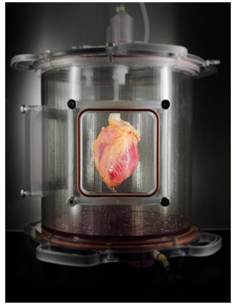 Science class cover image
