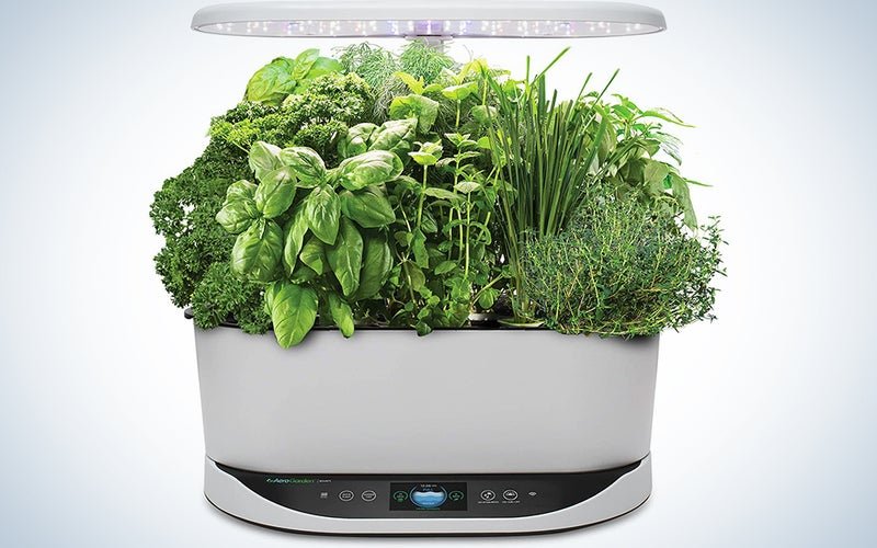 The best hydroponic herb gardens for your kitchen counter