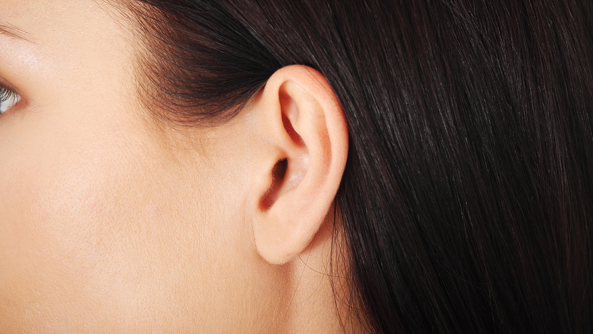 Why we have earlobes—even though they make no evolutionary sense - cover