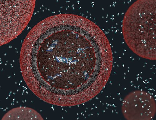Researchers Make Artificial Cells That Can Replicate Themselves