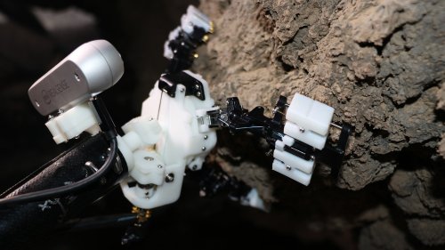 Daddy long-legs-inspired robot could one day squirm through Martian caves