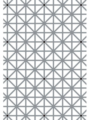 Your brain won’t let you see all 12 dots in this image
