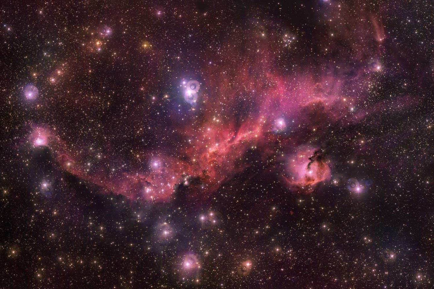 This seagull-shaped nebula is a hangout for baby stars