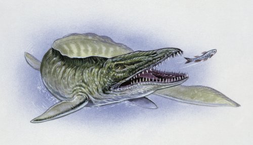Geologists accidentally found a monstrous mosasaur fossil in Mississippi mud