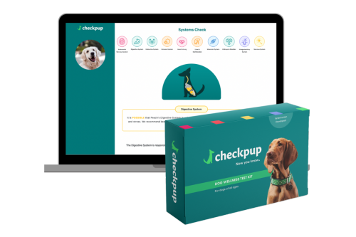Get a wellness test for your dog with this $120 kit