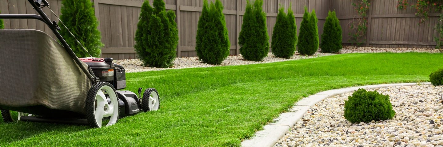 Grass isn’t always greener—here’s what to plant instead