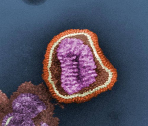 IBM Creates A Molecule That Could Destroy All Viruses