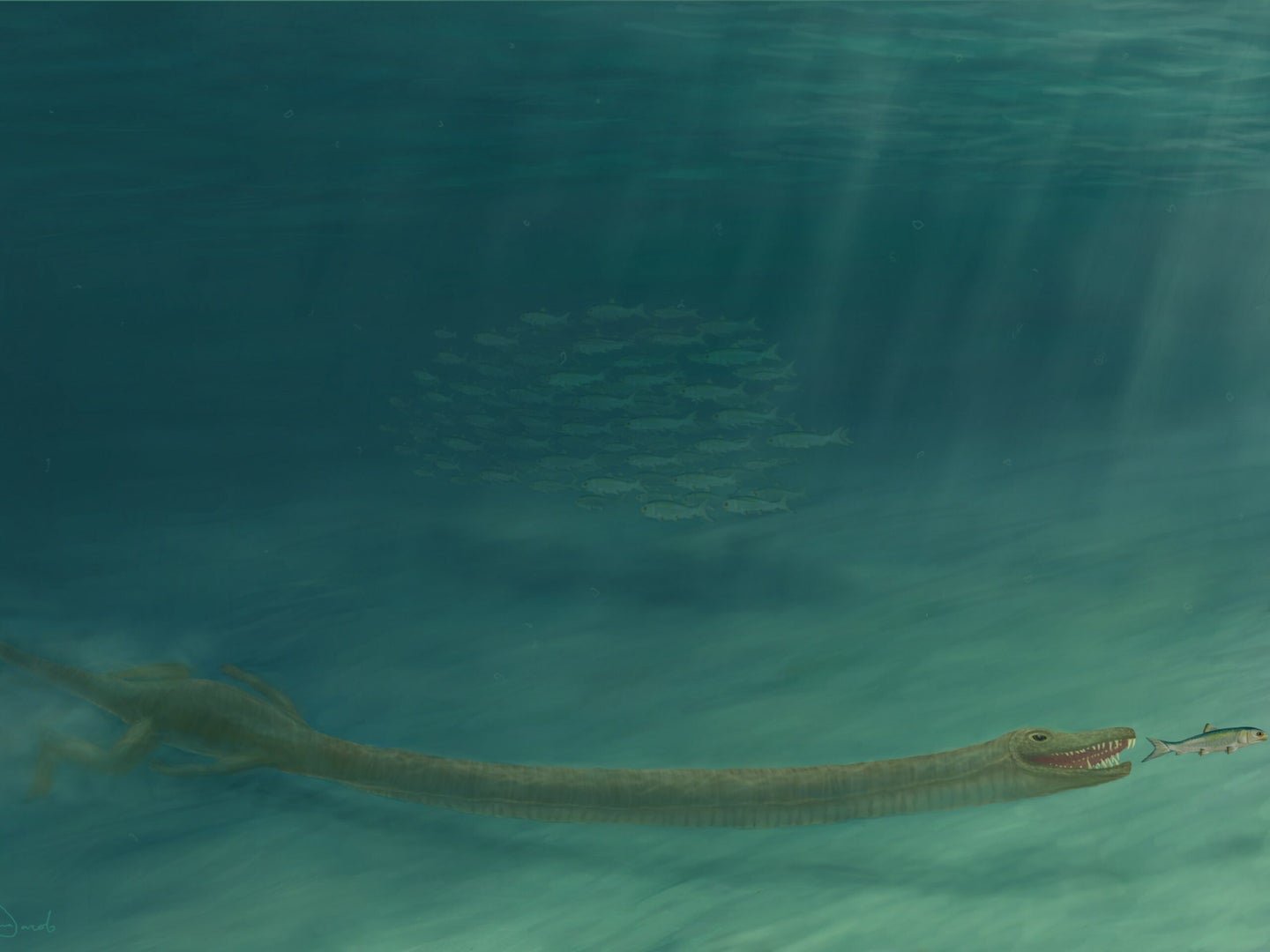 This ancient reptile had a super long neck to sneak up on unsuspecting fish