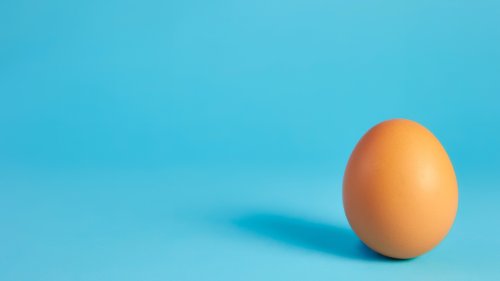 How to make an egg bounce