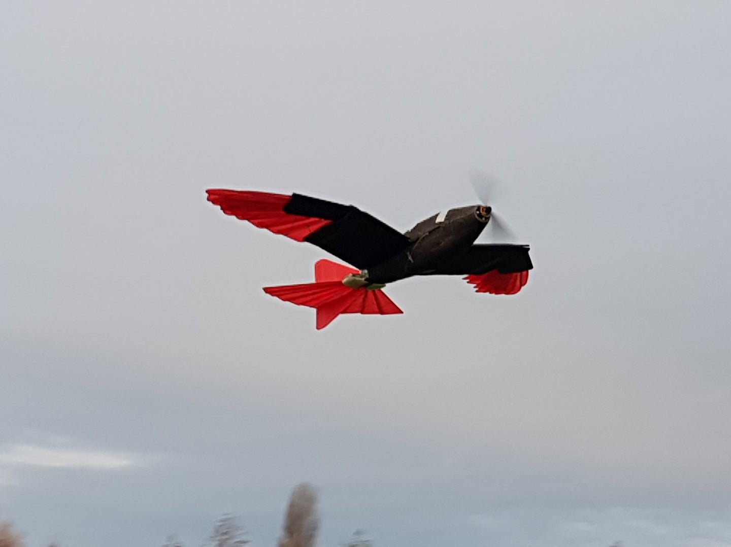 This robotic hawk can shape-shift as it flies