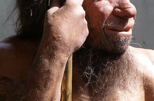What Modern Humans Can Learn From The Neanderthals’ Extinction