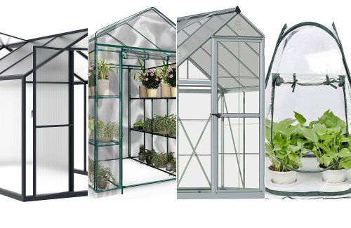 The best greenhouses for 2023