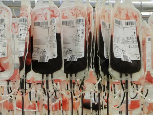 Scientists Are Figuring Out How To Change Blood Types