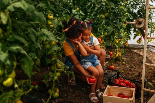 Parenthood Can Amplify Climate Anxiety — Here's How to Cope