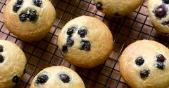 Discover blueberry muffins