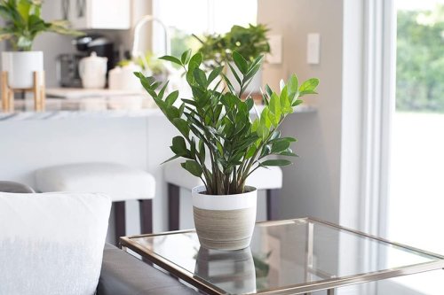 If You Didn't Know, Amazon Has 40 Decor Pieces That Are Perfect For Your Living Room