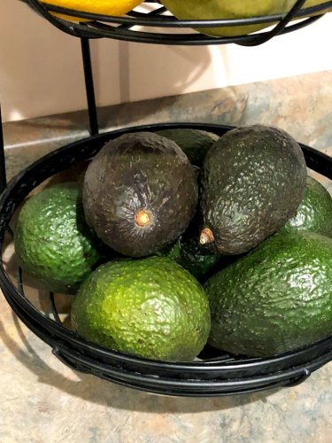 If You're Avocado-Obsessed, You Need to Know This Life-Changing Storage Hack