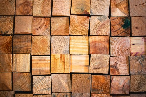 Choosing the Best Wood for Your Woodworking Projects