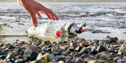 New projects launched to tackle plastic pollution in the City and around the world