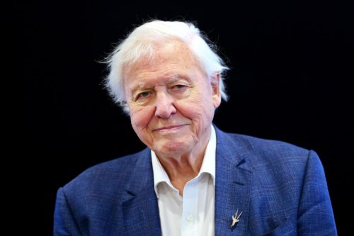 Final Straw Foundation sees thousands sign anti-plastic pledge for Sir David Attenborough's birthday