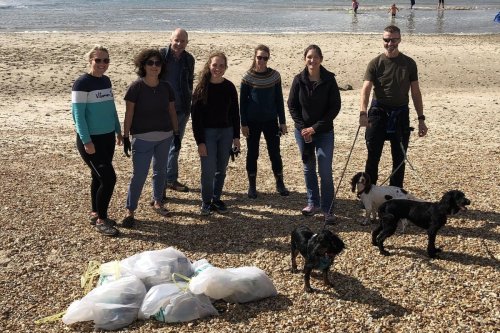 Litterpickers clean up Hayling Island seafront in bid to tackle plastic pollution
