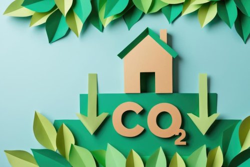 Going Green: Lowering your carbon footprint on a limited budget​​​​​​​