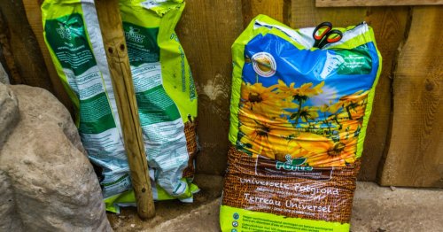 Ce terreau universel, l’un des moins chers du marché, est aussi le plus performant