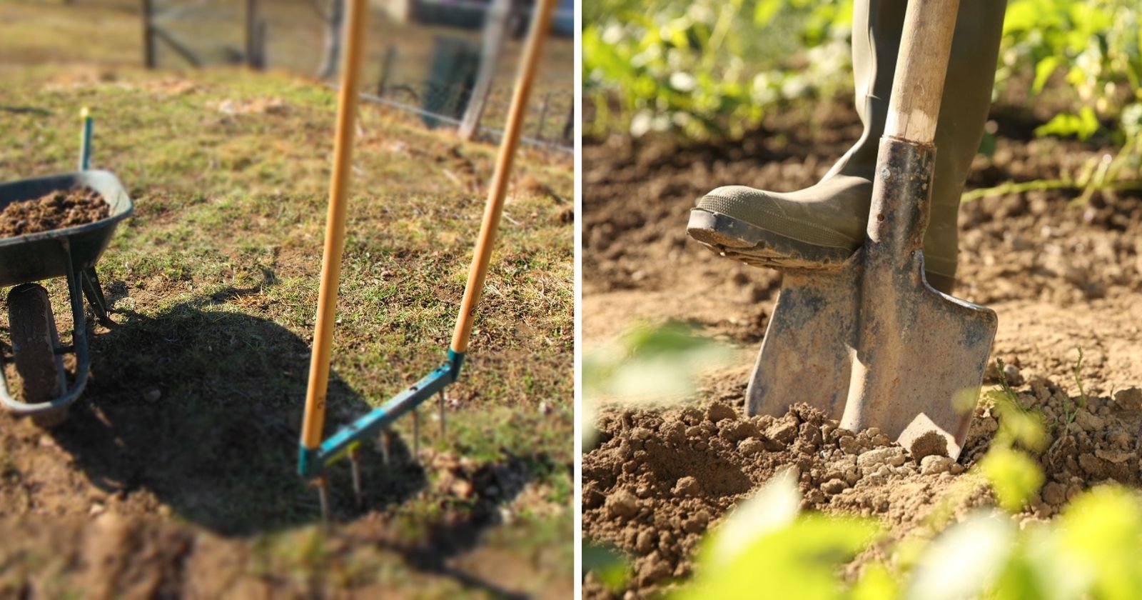 Grelinette ou bêche ? Le choix évident pour un jardin respectueux.