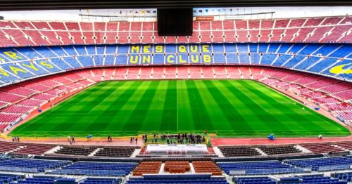 Ce guide répertorie toutes les espèces animales qui vivent au mythique stade de foot de Barcelone