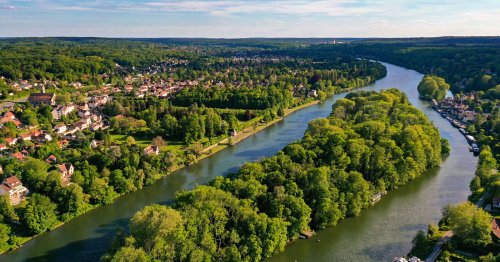 Yvelines : ils ramassent vingt tonnes de déchets en nettoyant un bras de la Seine