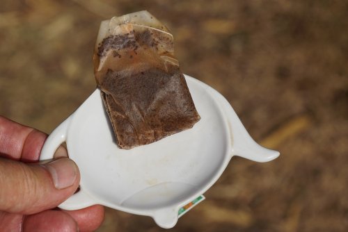 Le secret des jardiniers écolos : réutilisez vos sachets de thé usagés !