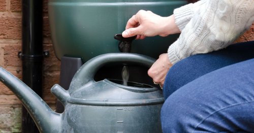 Orléans distribue des bons d’achats pour que les habitants s’équipent en récupérateur d’eau de pluie