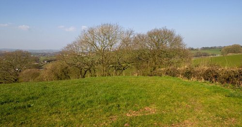 Pour favoriser la biodiversité, cet agriculteur plante des kilomètres de haies