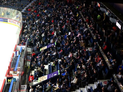 Connor Bedard Drives Regina Pats' Ascending Attendance | Flipboard