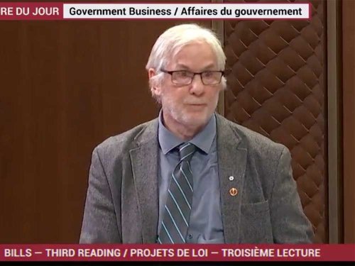 Sen. David Richards: Liberals' Bill C-11 is 'censorship passing as national inclusion'