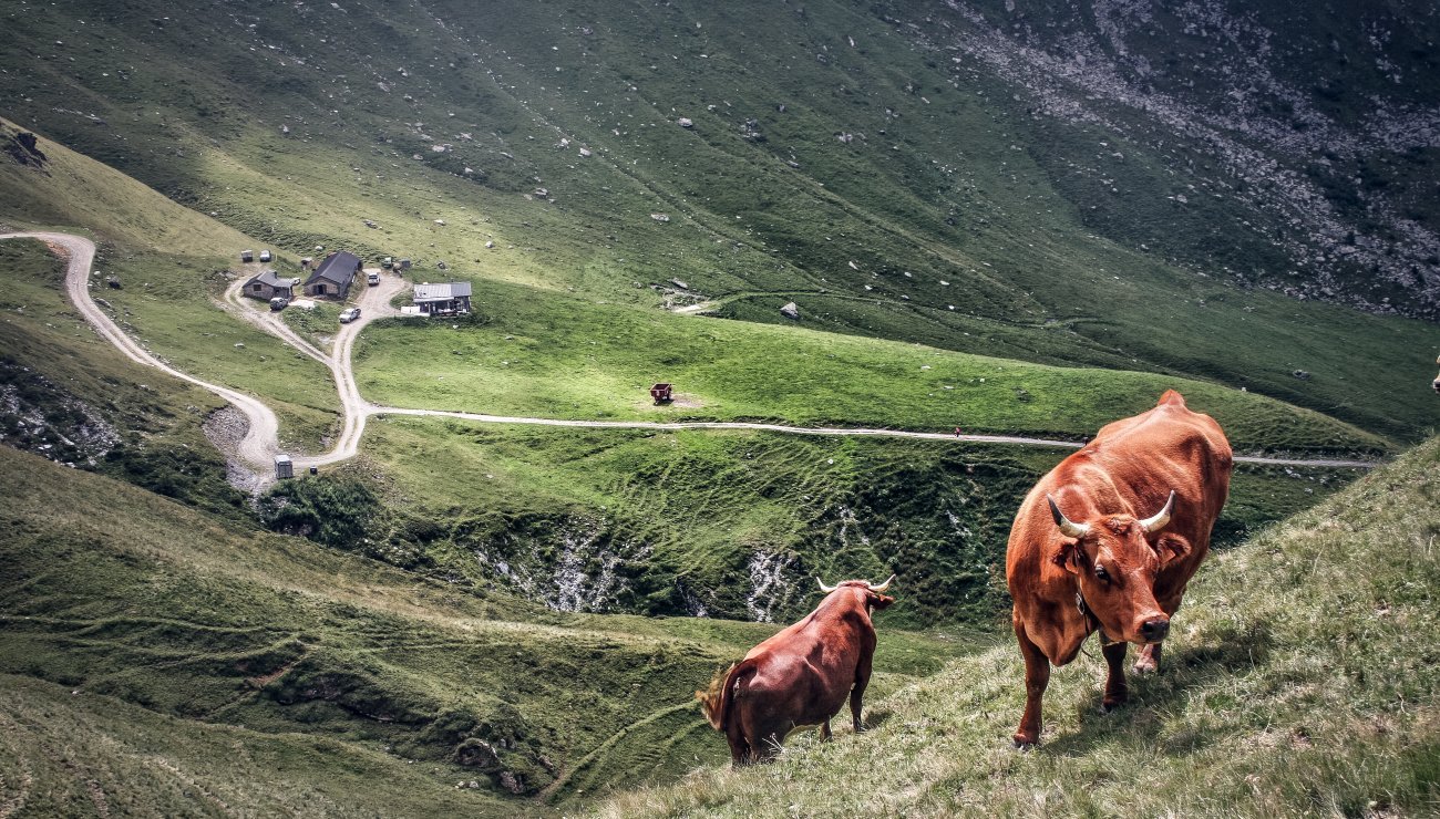 Dans les Alpes, les activité humaines amplifient l’érosion depuis l’Âge du Bronze