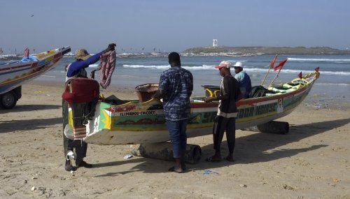 Le responsable de la « maladie des pêcheurs sénégalais » enfin identifié