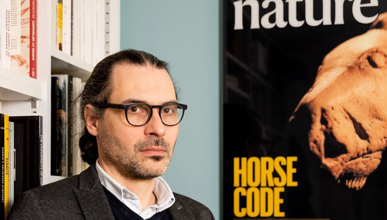 « La domestication du cheval a entraîné un changement profond des sociétés humaines »