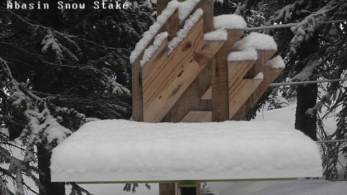 Colorado's Lone Open Ski Resort Just Got Hit With Multiple Inches Of Summer Snow