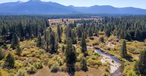 Tahoe Conservancy Group Acquires Private Land to Protect the Upper Truckee River