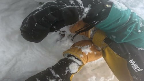 WATCH: Skier Finds Snowboarder Head First In Deep Tree Well